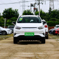 Pure electric new energy vehicles by yuan pro